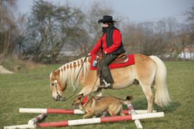 METZ FOTOS Horse&Dog Trail34.JPG