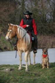METZ FOTOS Horse&Dog Trail80.JPG